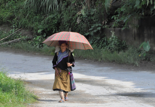 Promenade dans les villages des Hmongs fleuris