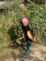 Promenade dans les villages des Hmongs fleuris