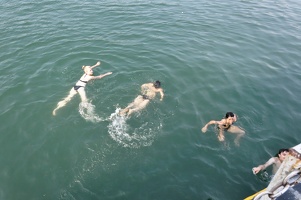 Baignade dans la Baie de Lan Ha