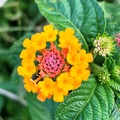 2019-08-13-174100.jpeg