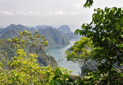 Point de vue sur la Baie de Lan Ha