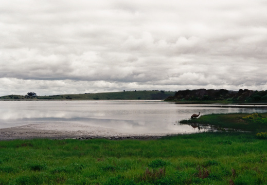 De Warrnambool à Adélaïde