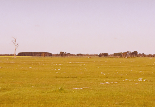 De Warrnambool à Adélaïde