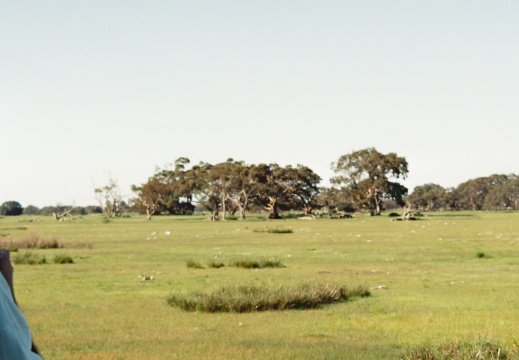 De Warrnambool à Adélaïde