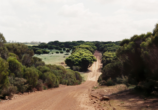 Kangaroo Island