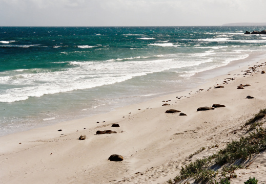 Kangaroo Island