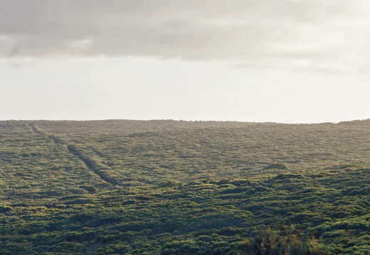 Kangaru Island