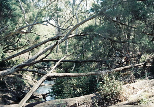 Kangaru Island