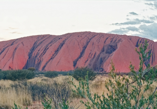 Uluru