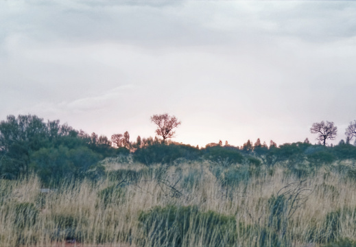 Uluru