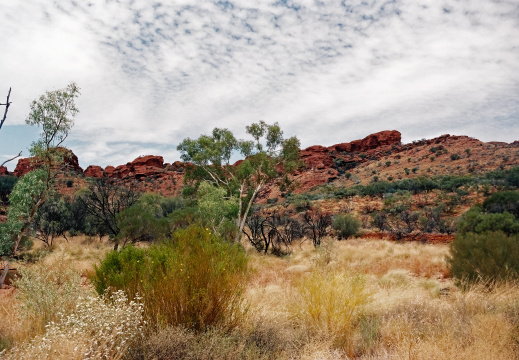 Watarrka National Park