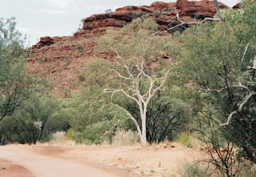 Watarrka National Park