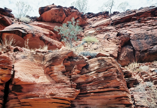 Watarrka National Park