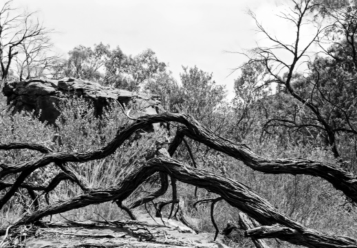 Watarrka National Park