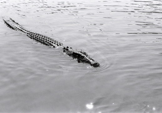 Kakadu National Park