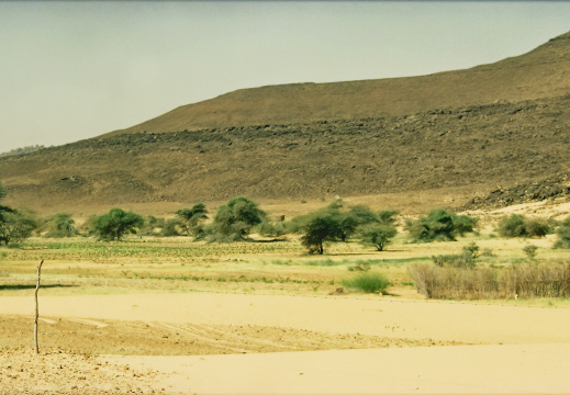 Mauritanie Janvier 2001
