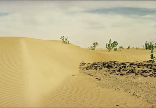 Mauritanie Janvier 2001