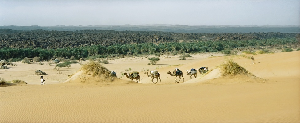 Mauritanie Janvier 2001