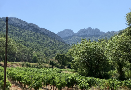 À Gigondas avec les Picavet