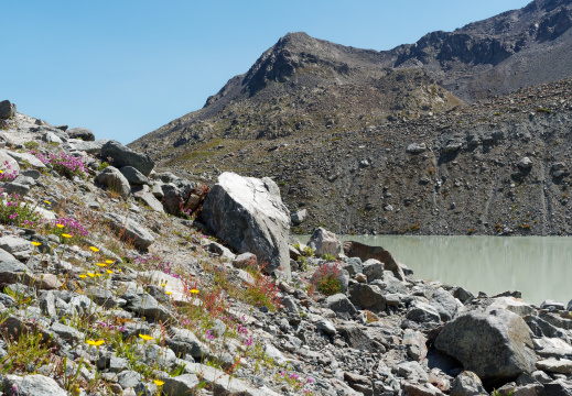 Le lac du glacier d’Arsine