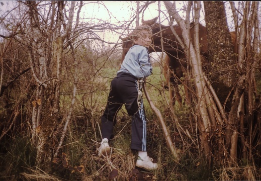 Avril 1986 - Promenade dans les Puys