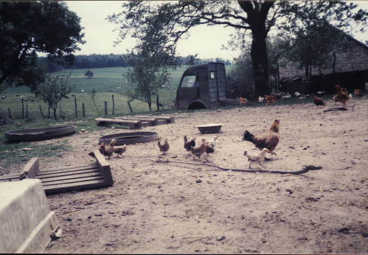 Ferluc - Aux poules