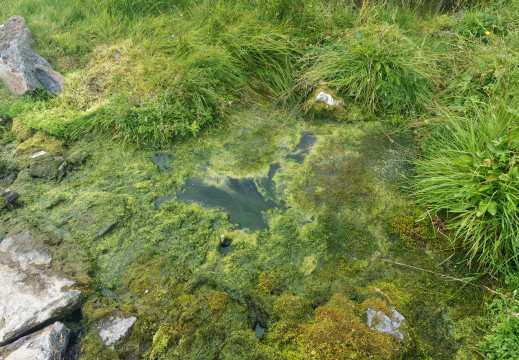 Prairies - Landmannalaugar