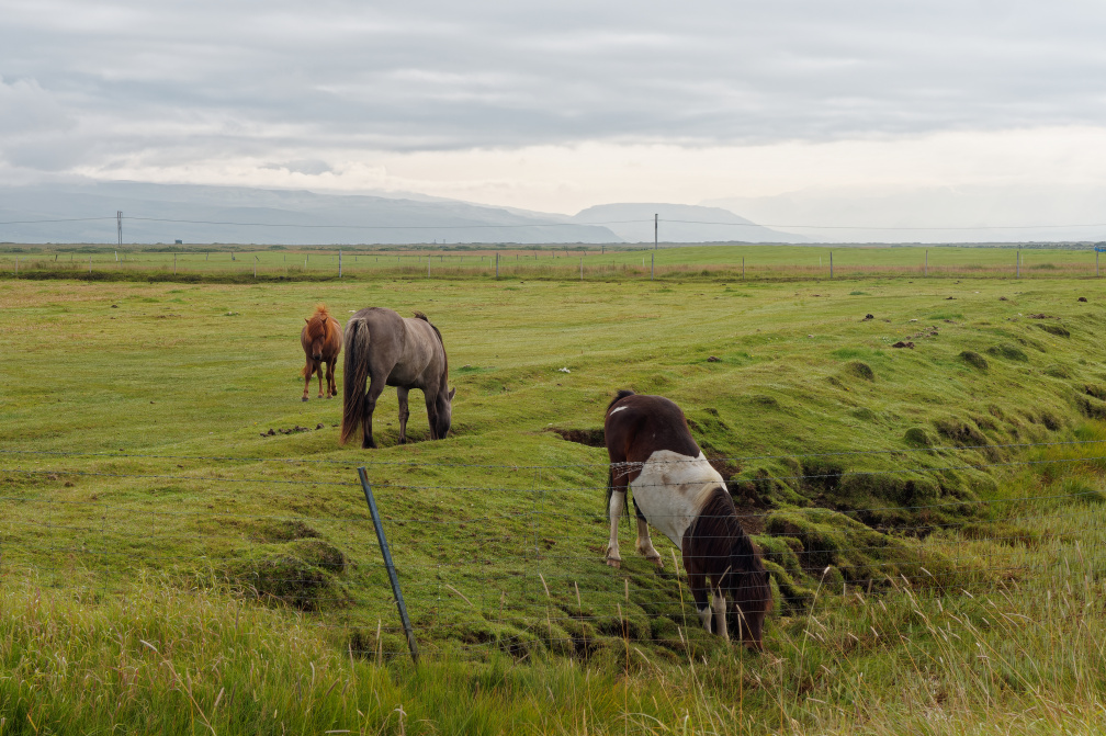 Islande - Jour 3 2021-08-18-091718-00.jpg