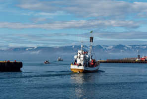 Port de Hùsavik