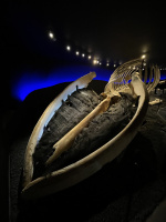 Musée de la Baleine de Hùsavik