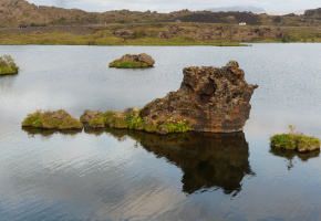 Laves de Kálfaströnd - Lac Myvatn