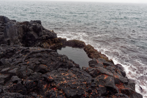 Brimketill lava rock pool