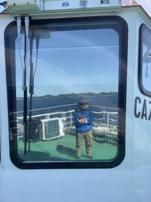 Bateau au retour de Chiloé