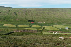 Islande - Route F35