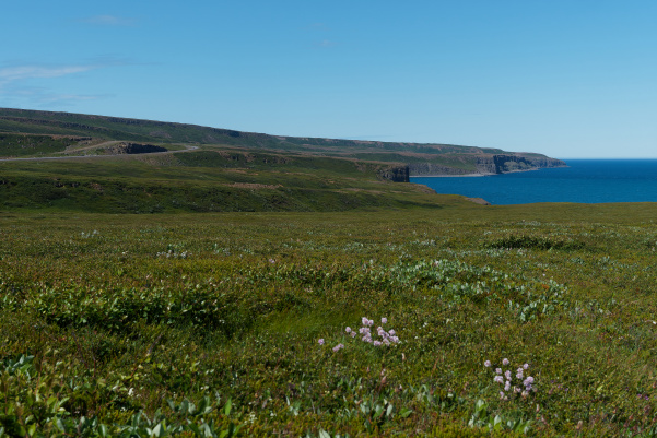 Entre Varmahlíð et Raufarhöfn