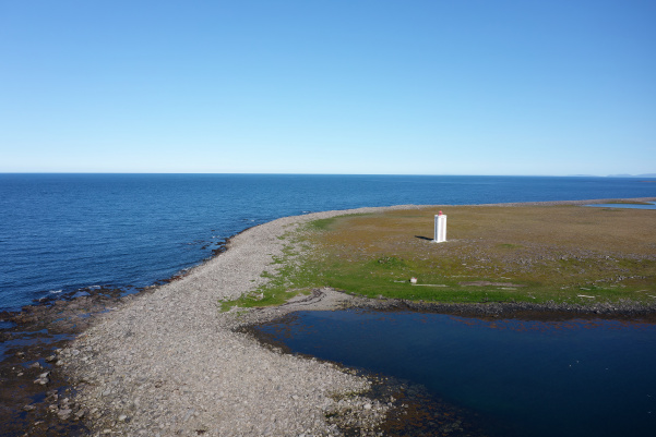 Hraunhafnartangaviti