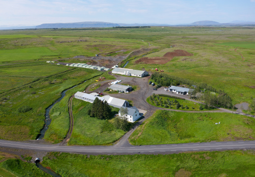 Urriðafoss