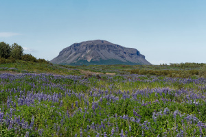 F225 – Landmannaleið