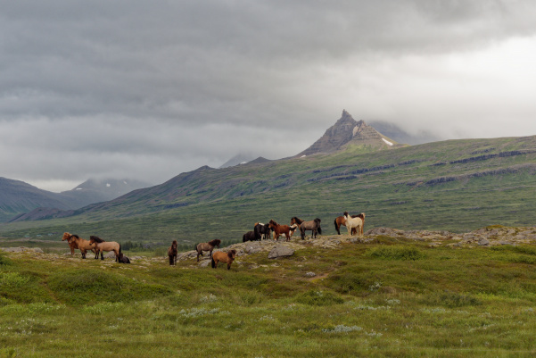 Route 95, vers Strútsfoss