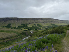 Strútsfoss