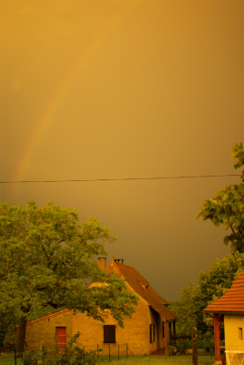 imgp0809