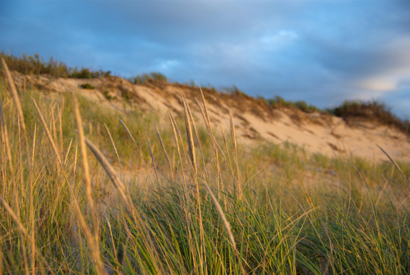 Sunset, Great Island beach