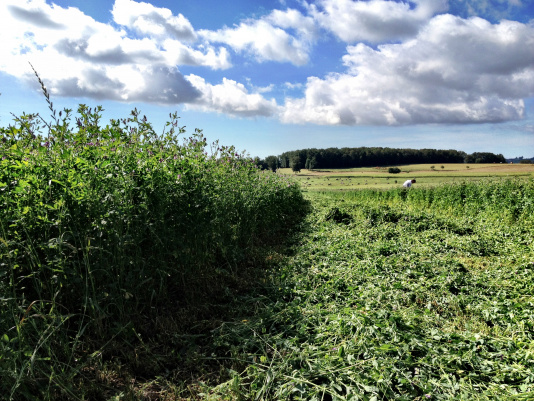 2012-08-05 Vacances12