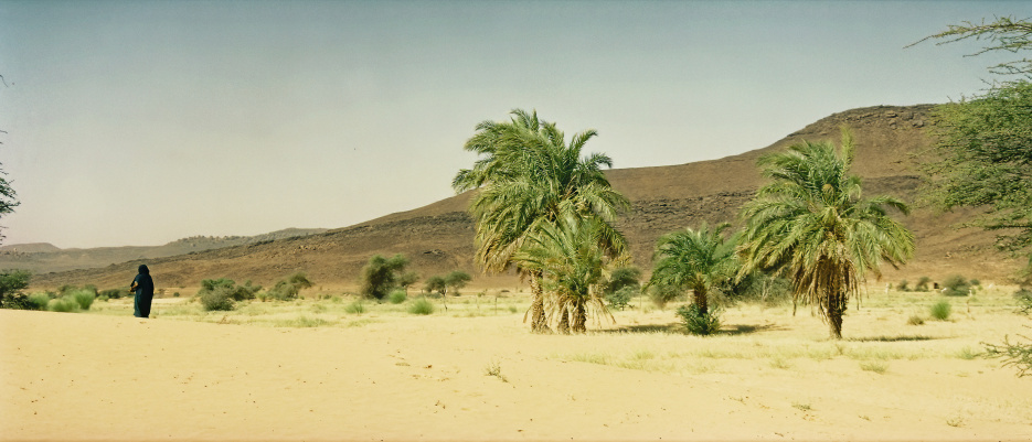 Mauritanie Janvier 2001