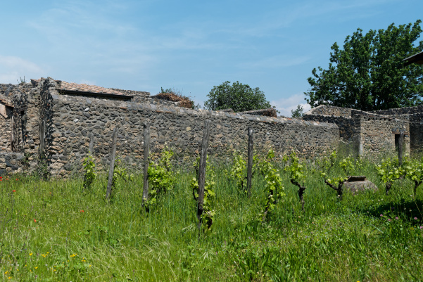 Pompéi